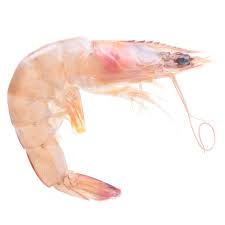 Frederik'S By Meijer 31/40 Wild Caught Key West Pink Raw Shrimp, 16 Oz |  Meijer