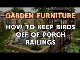 You can contact whitson gordon. How To Keep Birds Off Of Porch Railings Youtube