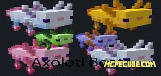It's concept is based on minecraft axolotls were you can carry them . Axolotl Boats Texture Pack Texture Packs Minecraft Pe
