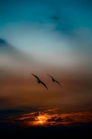 Beautiful Com Imagens Natureza Bela Lindo Por Do Sol Lindas Paisagens
