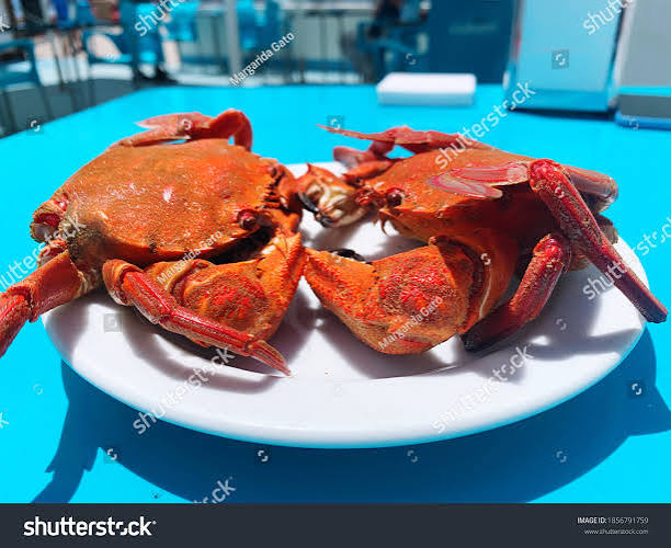 Velvet Crabs