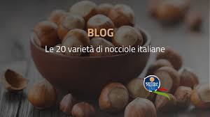 Check spelling or type a new query. Blog Nocciole Nocciola Italiana Shop Il Blog Dedicato Alla Nocciola Italiana