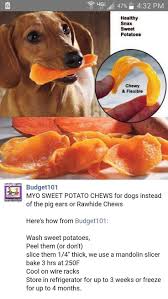 Sweet Potato Dog Chews In 2020 With Images Homade Dog Treats Diy Dog Treats Dog Food Recipes
