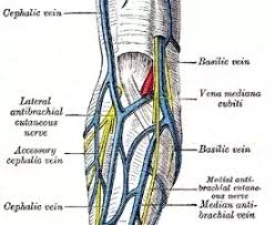 We did not find results for: What Could Cause A Sharp Pulling Stretching Pain That Continues Days After A More Painful Than Usual Blood Draw It Feels More Like A Pulled Muscle Than The Bruise That Formed The Pain