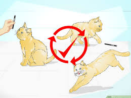 Cats are autonomous creatures that over time domesticated themselves into our lives. How To Clicker Train A Cat With Pictures Wikihow
