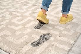 Willst du an deinem teppich lange freude. Viskose Teppich Reinigen Anleitung In 4 Schritten