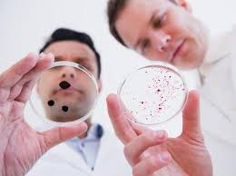 Di Kantor, Kuman Senang Bersarang di Tempat-tempat Seperti Ini