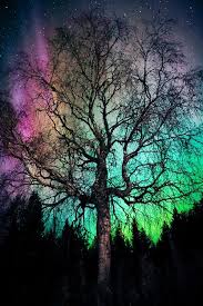 Set Free Of Everything You Know Let Them Gently Overflow Nature Photography Nature Pictures Beautiful Nature