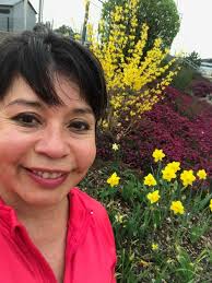 What are some easy hiking trails in Big Bend National Park?