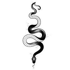 Schwarze Schlange Illustration Google Suche Schwarze Schlange Illustration Google Suche In 2021 Snake Tattoo Design Snake Illustration Black Snake Tattoo