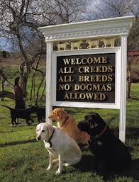 Thousands of people from around the world visit the dog chapel each year. About The Dog Chapel Dog Mountain Vt Stephen Huneck