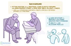 Image result for Orthopichonia