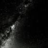 Grey cat and sunglasses, space, abstract, minimalism, animals. Https Encrypted Tbn0 Gstatic Com Images Q Tbn And9gcrafsrwmifkbqbbybuysgmj3bv6l9 Yll7uhgpfvdubtf7zptdo Usqp Cau