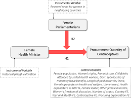 Procurement for Empowerment: The Impact of Female Decision-Makers in  Reproductive Health Supply Chains - Amir Karimi, Dwaipayan Roy, 2025