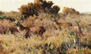 Resultados De La Busqueda De Imagenes Ken Carlson Yahoo Search Art Auction Wildlife Paintings Deer Art