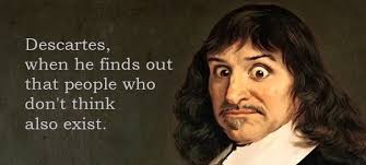 Donna Kerrigan (djkerrigan)