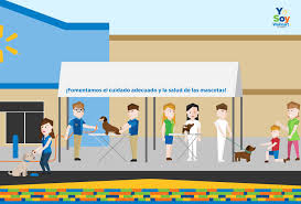 Las ferias de vacunación de mascotas...