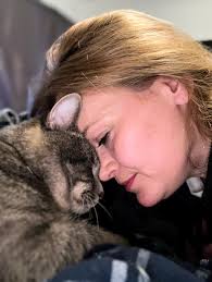 Lost cat Luffy in Marietta