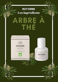 Arbre A The Arbre A The Huiles Essentielles Huile