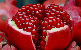 Buah delima (punica granatum) berasal dari negara timur tengah tepatnya di iran, buah ini juga banyak ditemui di daerah mediterania. 8 Manfaat Delima Bagi Kesehatan Sering Konsumsi Yuk Okezone Lifestyle