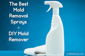 The Best Mold Removal Spray Diy Mold Spray Mold Help For You