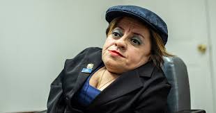 Yo no hubiera votado por Carmen Aída Lazo”