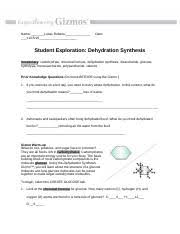Gizmo student exploration rna and protein synthesis answer key. Fastest Dehydration Synthesis Gizmo Answers Free