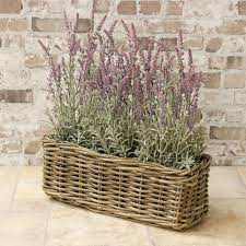 Growneer 3 packs 17 x 7.2 x 6.7 inches green flower window boxes plastic vegetable planters with 15 pcs plant labels, for windowsill, patio, garden, home décor, porch, yard. Rattan Window Box Planter The Basket Company
