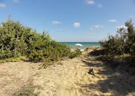 Il consiglio regionale pugliese ha recentemente approvato fino al 31 dicembre 2020 quella che si il piano casa della puglia, grazie alla proroga, è in vigore anche nel 2020. Lecce Il Piano Comunale Delle Coste Fa Scuola Ambient Ambienti