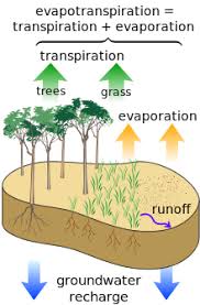 Groundwater Recharge Wikipedia The Free Encyclopedia Groundwater Water Cycle Water Cycle Project