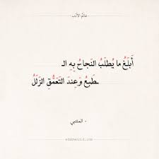 شعر المتنبي أبلغ ما يطلب النجاح به عالم الأدب