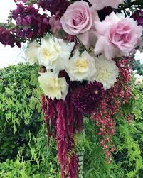 Search bellflower, ca real estate and mls listings. White House Flowers Home Facebook