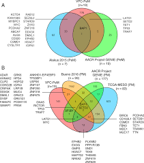We did not find results for: Fig S8 Common Somatic Mutated Genes In Mesothelioma Patients Cohorts Download Scientific Diagram