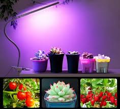 Indoor light fixtures can be in the wrong wavelengths and are often too dim and far away to be useful. What Is A Grow Light For Plants How Do Grow Lights Work