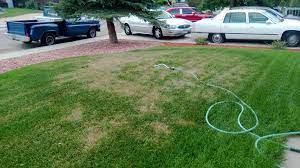 Lift your spirits with funny jokes, trending memes, entertaining gifs, inspiring stories, viral videos, and so much. New Sod Dying And It Doesn T Seem To Be Because Of The Heat 139418 Ask Extension