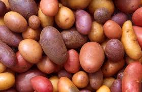 Image result for Solanum tuberosum