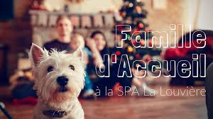 Check spelling or type a new query. La Spa La Louviere Recherche Des Familles D Accueil Spa La Louviere
