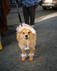 Michaela baldos porn - Best adult videos and photos