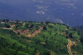 Book your tickets & tours of doddabetta peak at best price only on thrillophilia. Day Trip To Coonoor Guided Sightseeing Tour By Car From Ooty Marriott