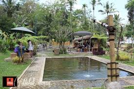 Wisata Eka Tirta Pemandian Air Panas Baru Di Tabanan Bali Di 2020 Bali Desain Kolam