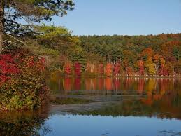 Alexis Smith and Mason Cheek's Wedding Website