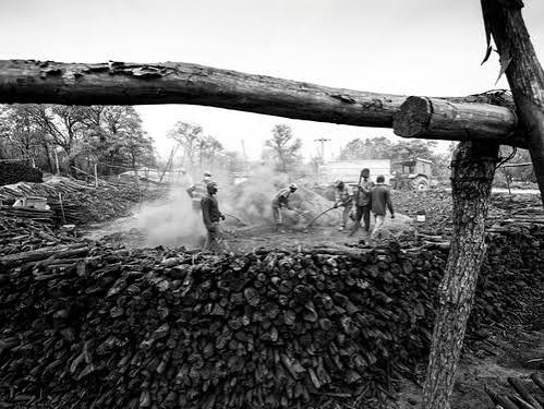 Chatham Saw Mill, Port Blair | History, How to Reach, Timings
