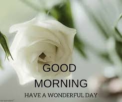 150 Beautiful Good Morning Images Best Collection Good Morning Beautiful Good Morning Wednesday Good Morning Images