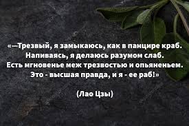чем больше я узнаю людей тем больше я люблю собак Pin Ot Polzovatelya Oksana Na Doske Citaty V 2020 G S Izobrazheniyami Citaty Znamenitostej Citaty Zhiznennaya Motivaciya