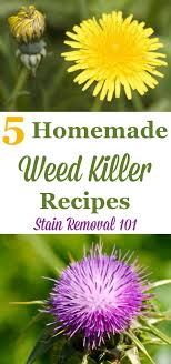 5 Homemade Weed Killer Recipes