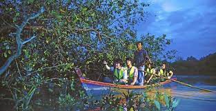 It was the old royal capital of selangor prior to moving to klang, and finally to kuala lumpur. Kampung Kuantan Fireflies Park Visit Selangor