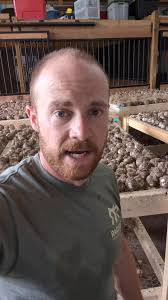 Efficient Garlic Drying Rack Construction Guide