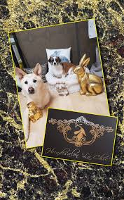 Hundesalon La Chic