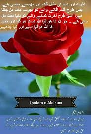 pin by shaheen perwaz on subha bakhair plants rose flowers