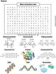 Macromolecules review worksheet for h biology flashcards. Biology Macromolecules Worksheets Teachers Pay Teachers